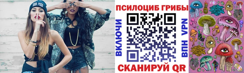 Псилоцибиновые грибы прущие грибы  мега онион  Всеволожск 